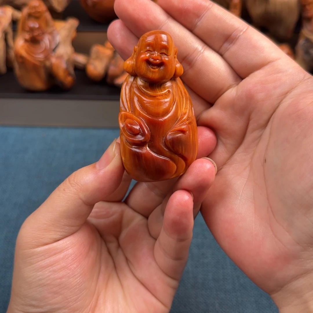 光***哥柏木（崖柏）太行崖柏