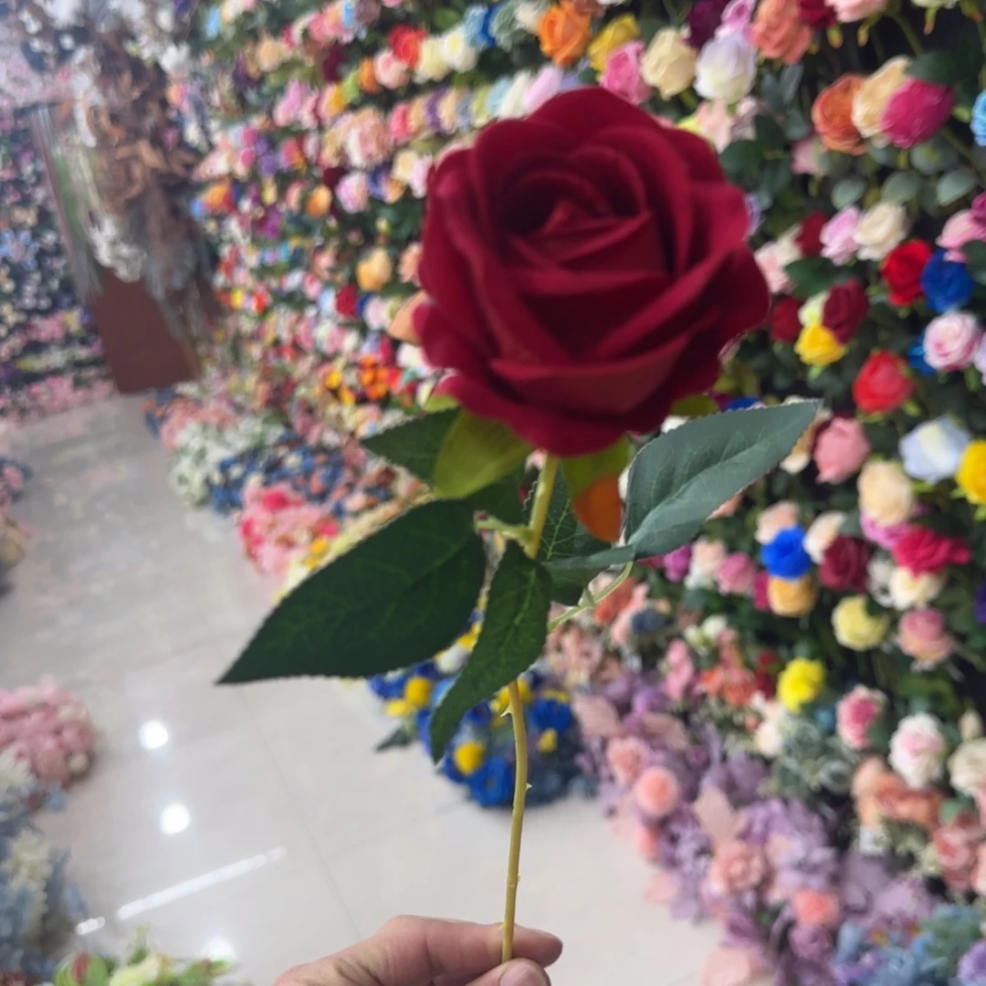 10支
