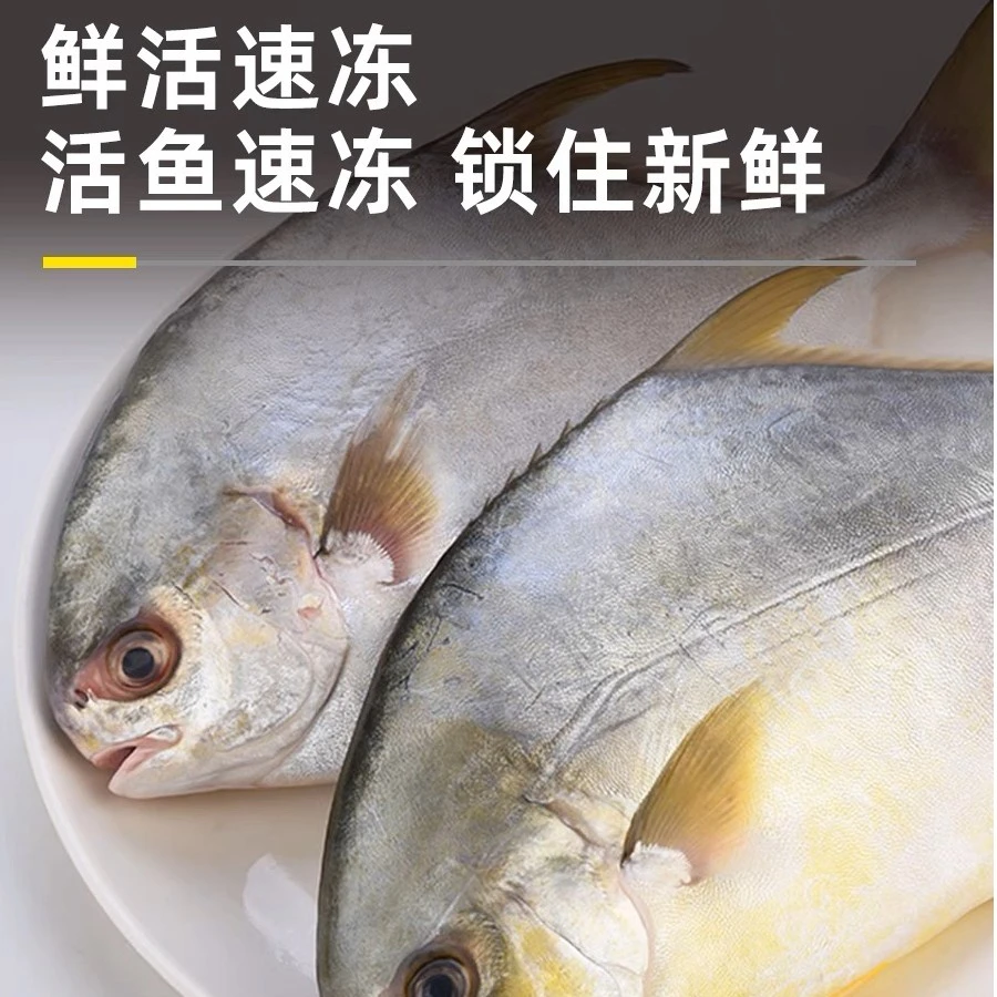 金鲳鱼阳江深海南海鲳鱼海鲜海鱼约3条左右/斤