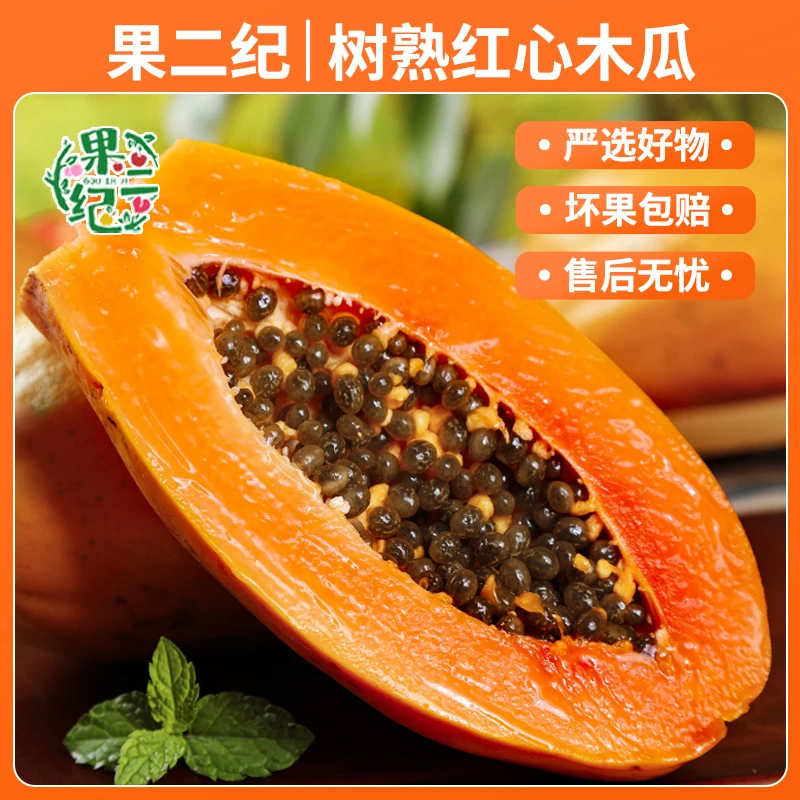 【果二纪】广东雷州正宗树上熟红心木瓜2.5-4.5斤装