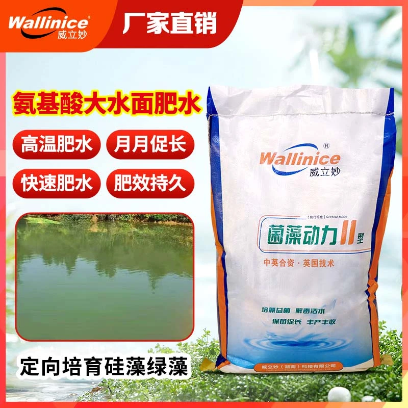 菌藻动力II花白鲢高温肥水稳定水质定向培育硅藻和绿藻大水面养殖