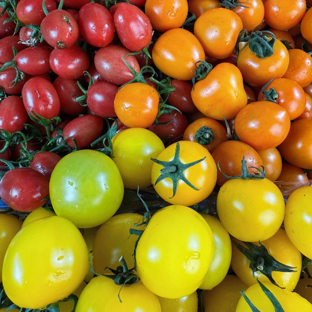 【顺丰包邮】三色番茄 爆汁小糖丸 毛重2斤