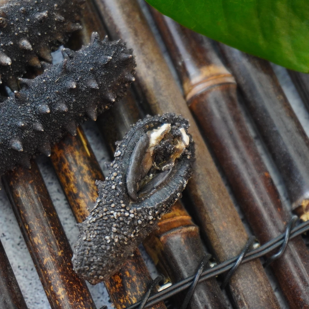 【精品】淡干海参70-80/500g 顺丰包邮