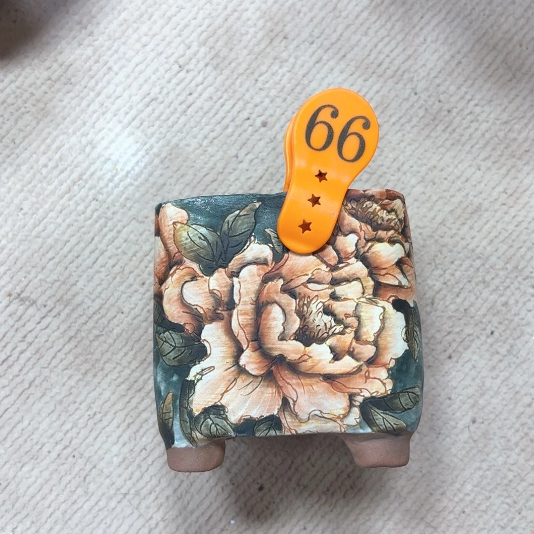 猫***紫砂花盆陶瓷多肉精品花盆