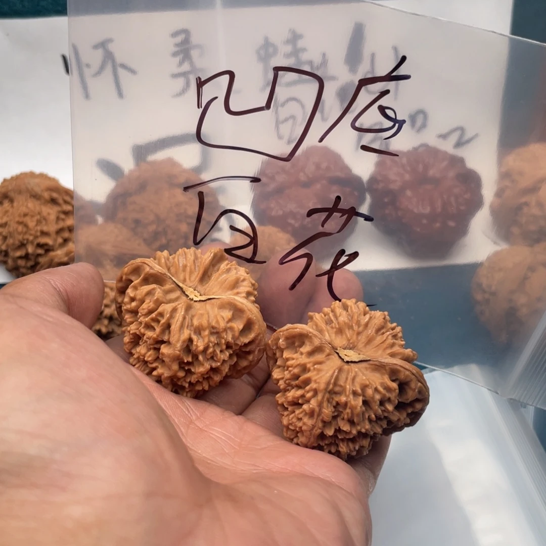 核桃723375573573573573357