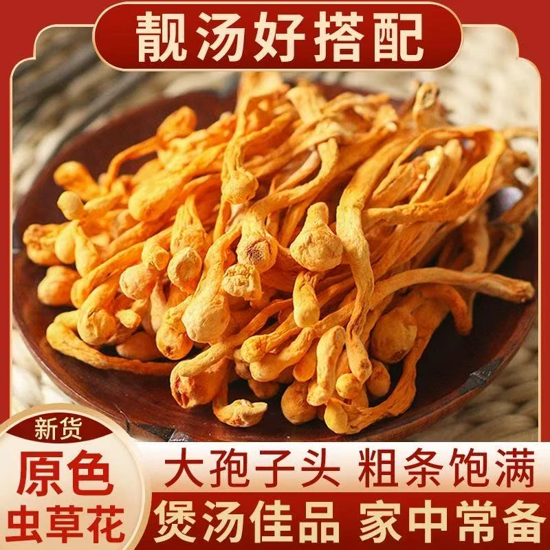 【拍一发四】精品虫草花干货餐饮煲汤新鲜菌菇食材