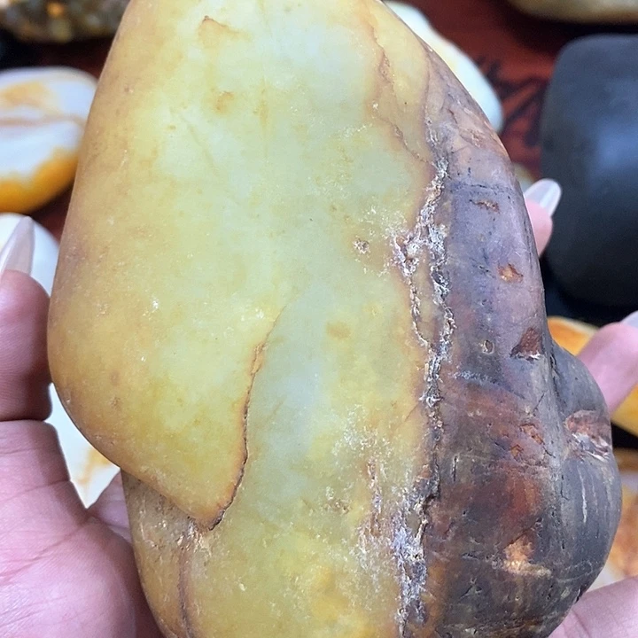 和田玉未镶嵌把件胡*头