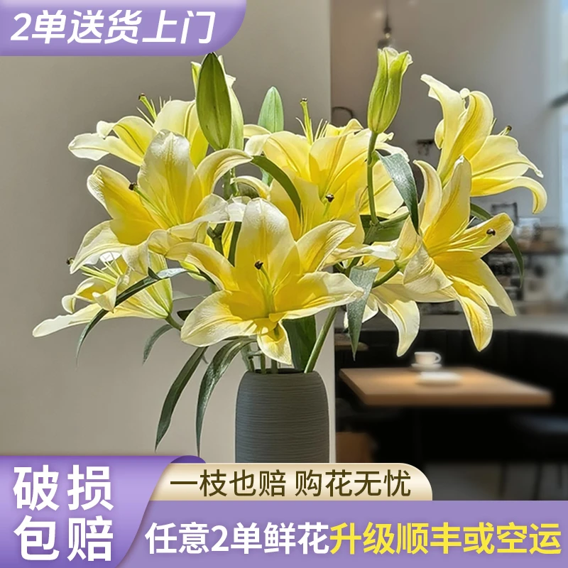 【源头优选】黄天霸香水百合花水养插花用云南直发鲜花