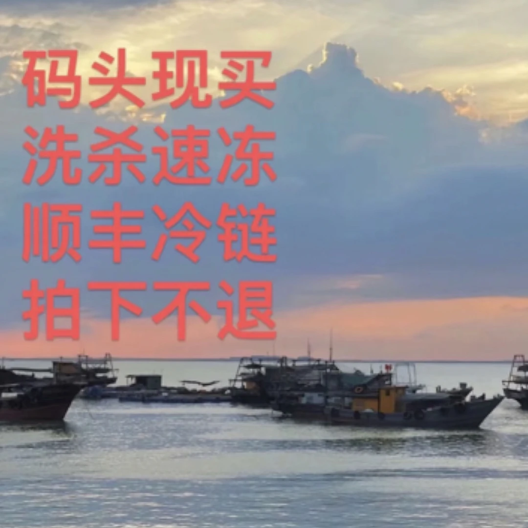 神泉港 新鲜鱼货福利套餐（5-10斤）以直播间讲解为主