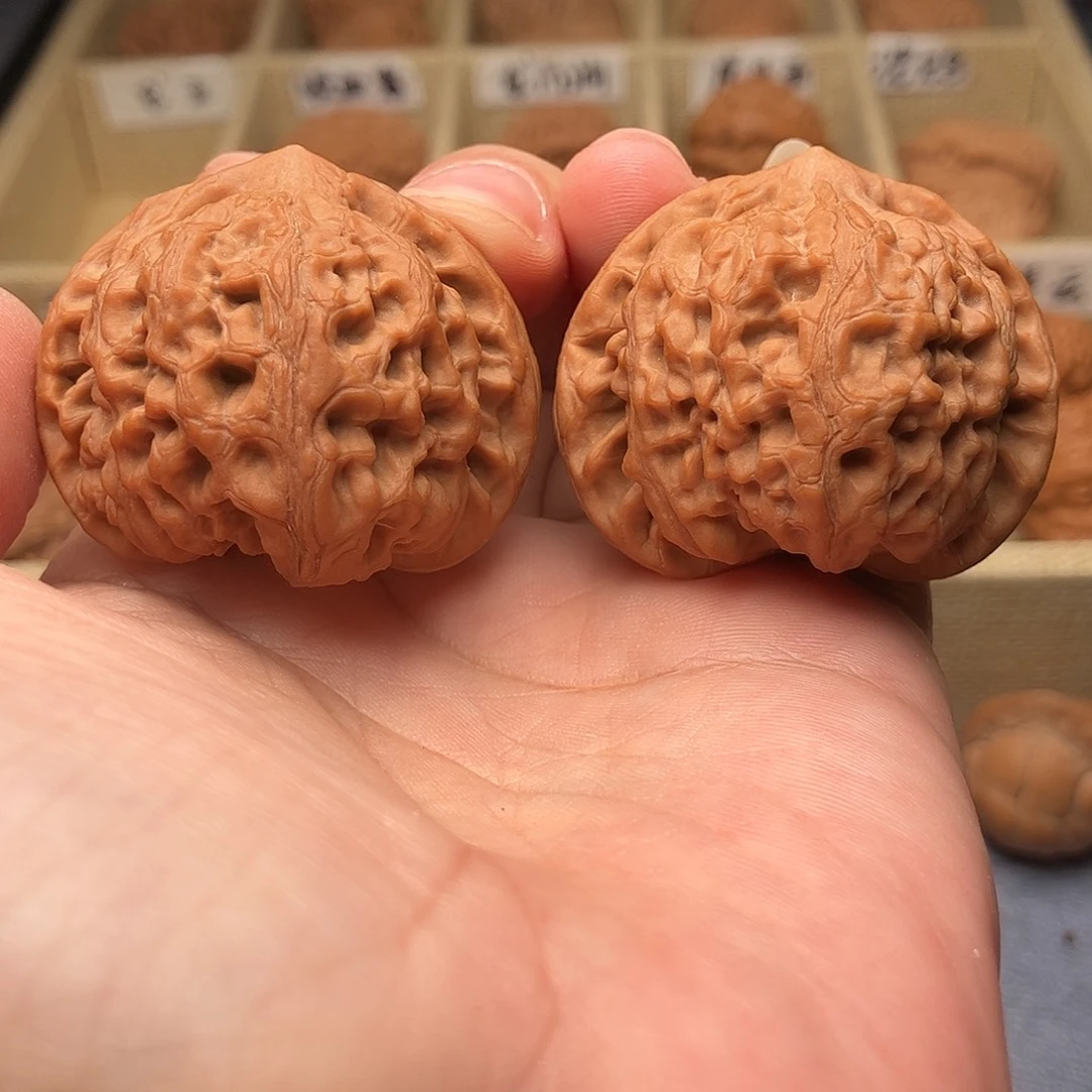 文玩核桃把件龙王42太行龙纹