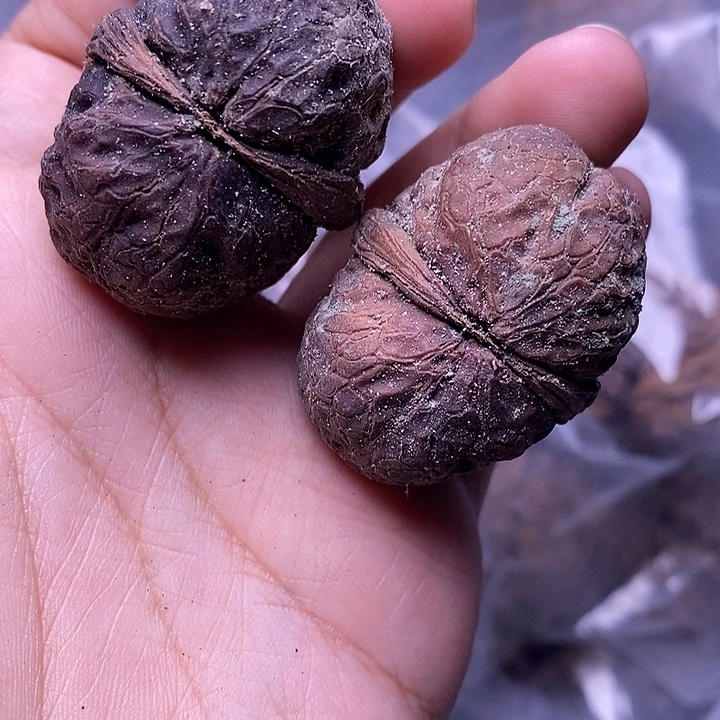 把件文玩核桃  14