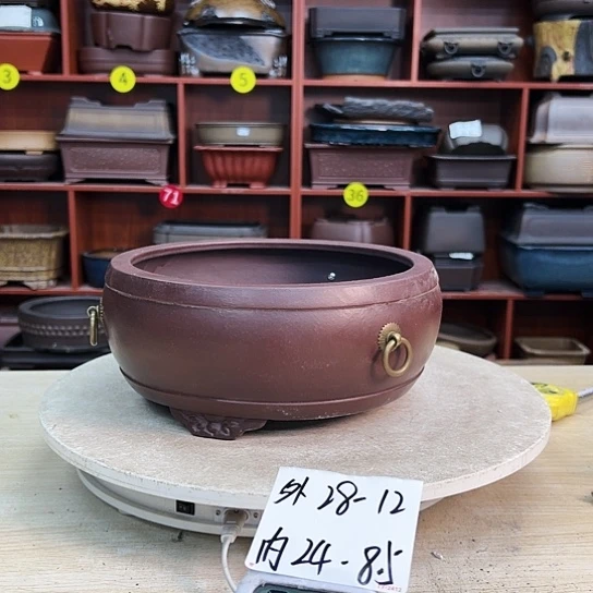 还****摆紫砂花盆里都藏的什么