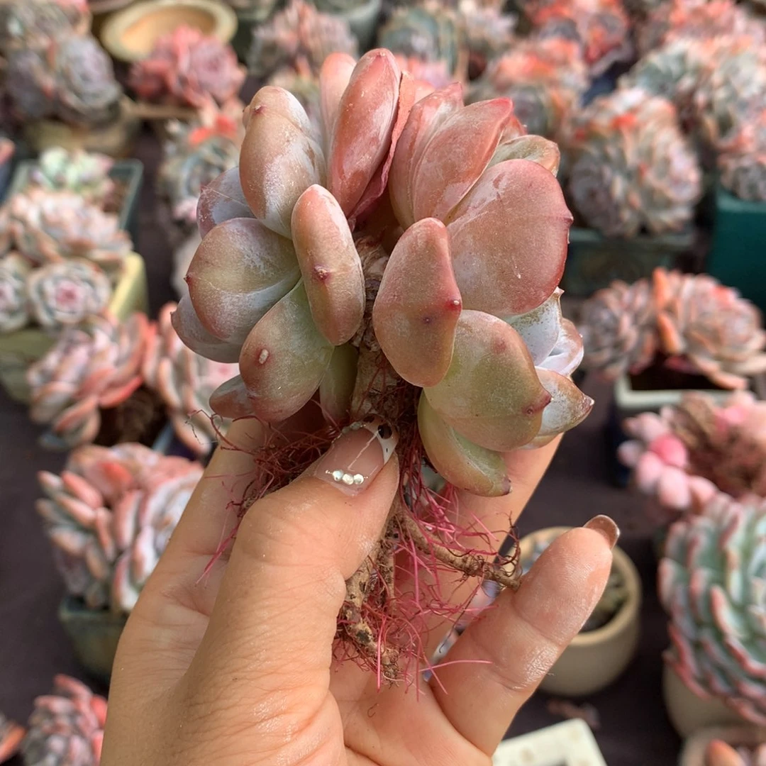 哈哈哈哈哈哈哈哈哈哈哈