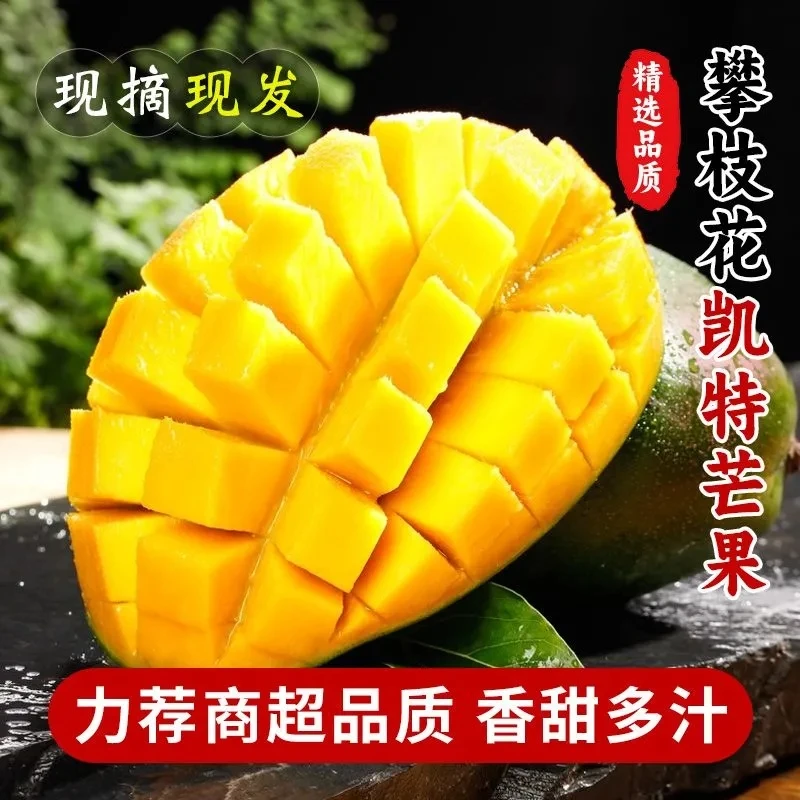 【产地直发】四川攀枝花高山凯特芒果新鲜应季香甜软糯青皮芒果水果