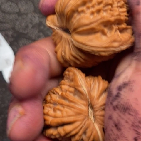 文玩核桃把件西楼20