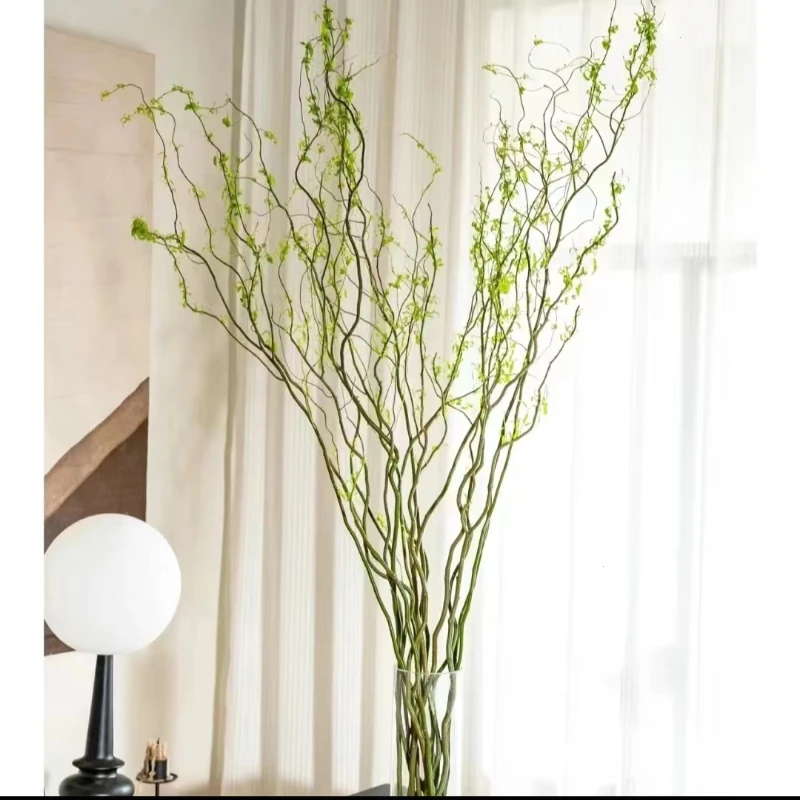 【基地直发】龙柳高端鲜枝水培植物室内好养活客厅绿植花卉