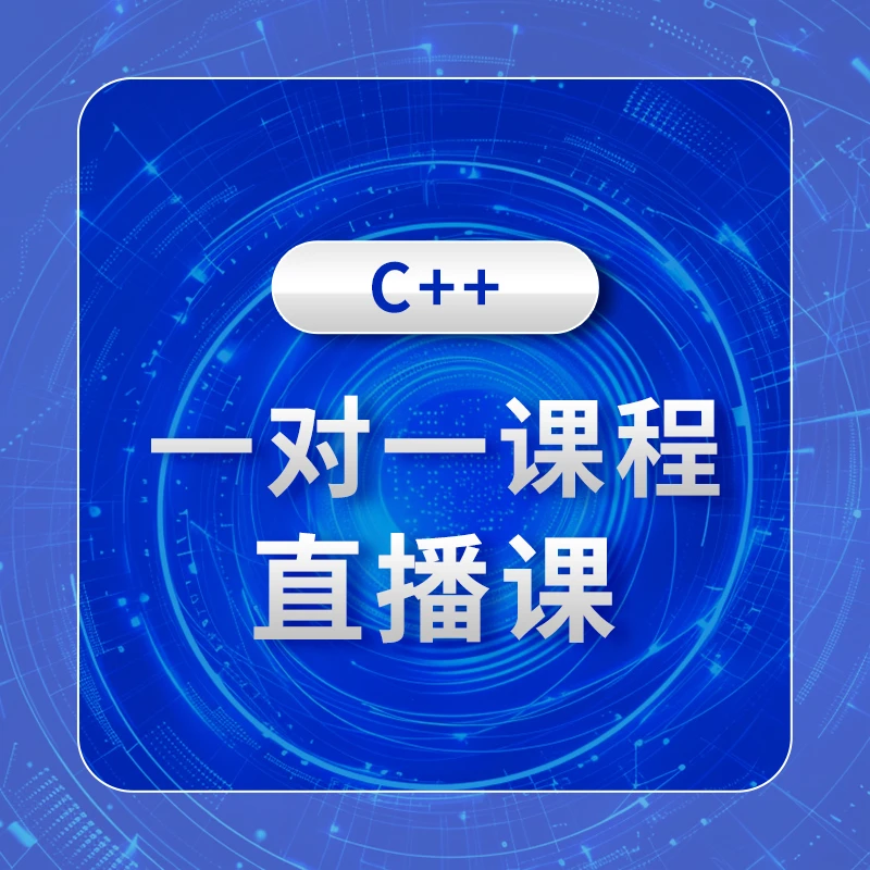 编程1V1学习+规划直播课《学过C++的》
