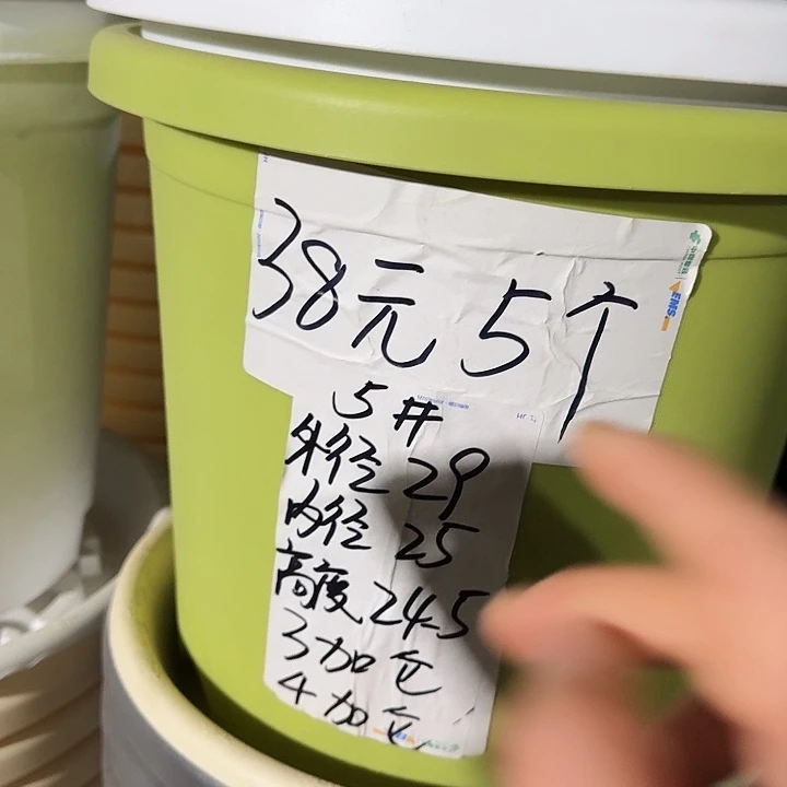 四季5号果绿无托10个口径29