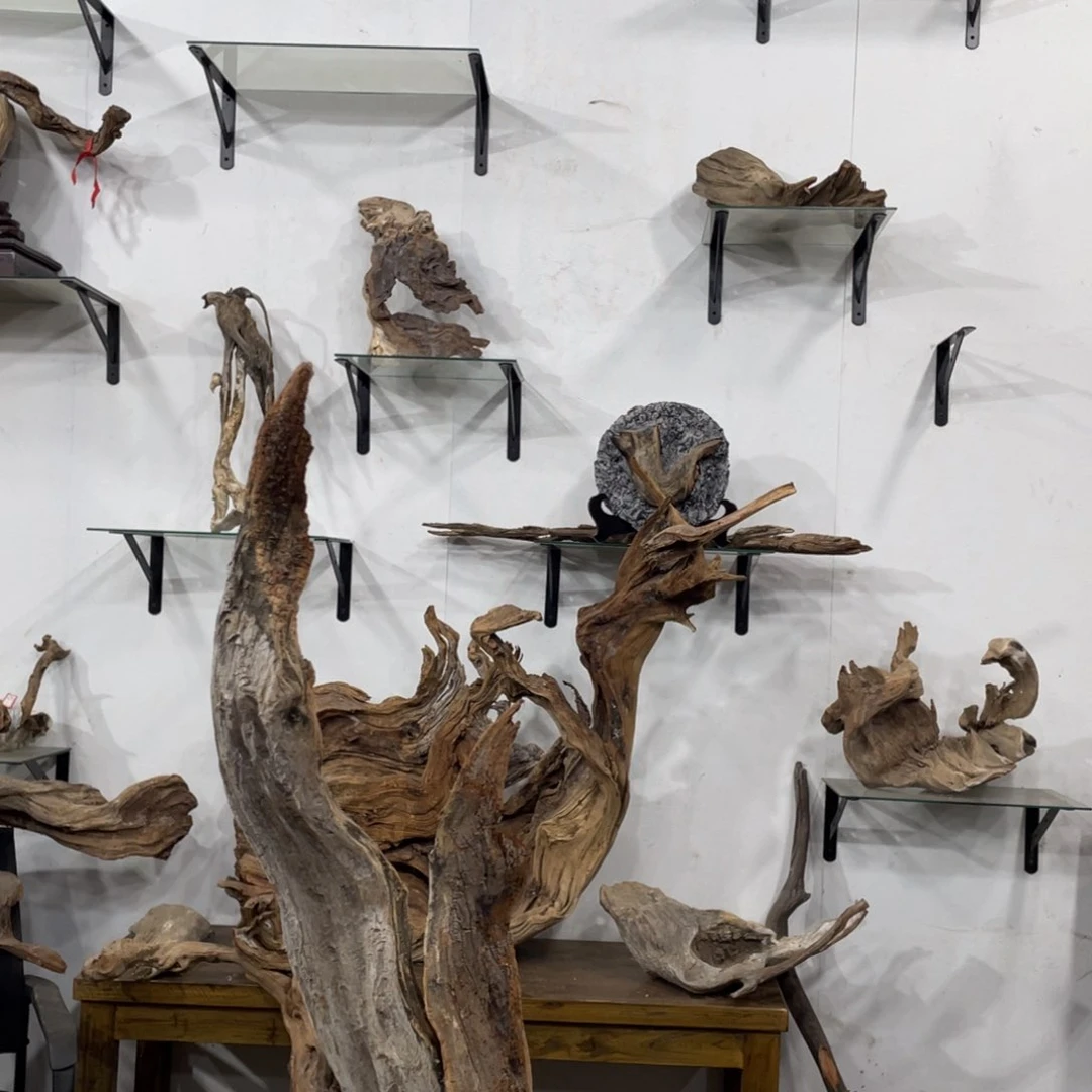 沁***卫我们都是好孩子啊