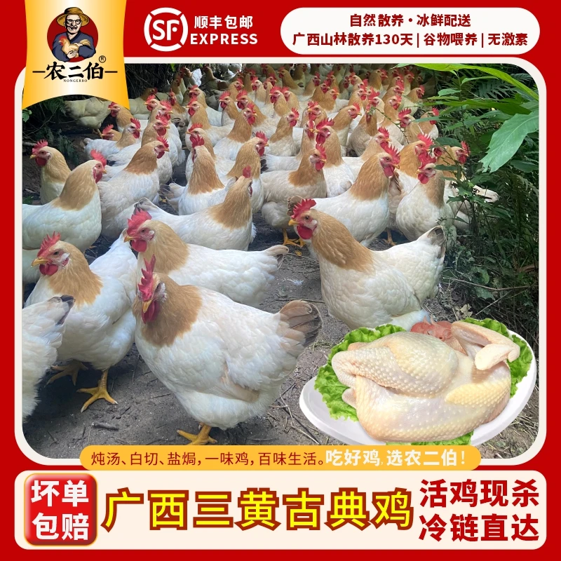 农二伯2只装广西三黄土鸡散养母鸡煲汤鲜美优质山林古典鸡-顺丰邮