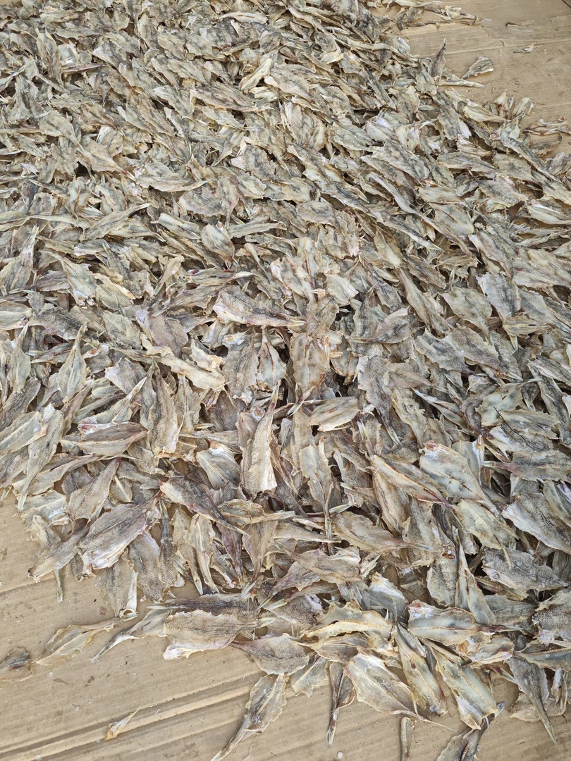 2斤那哥鱼干（渔民自晒）