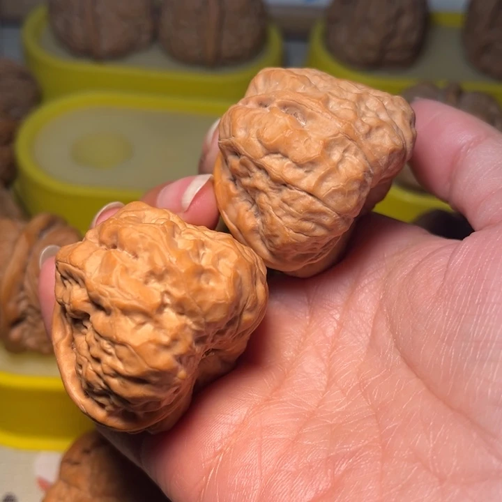 核桃蛙蛙42。。。。。。。