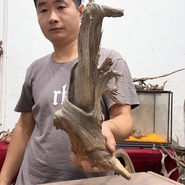 柏木?*東我们的生活是一场