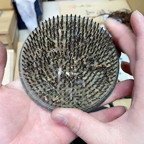 紫砂哈哈哈哈哈哈哈哈