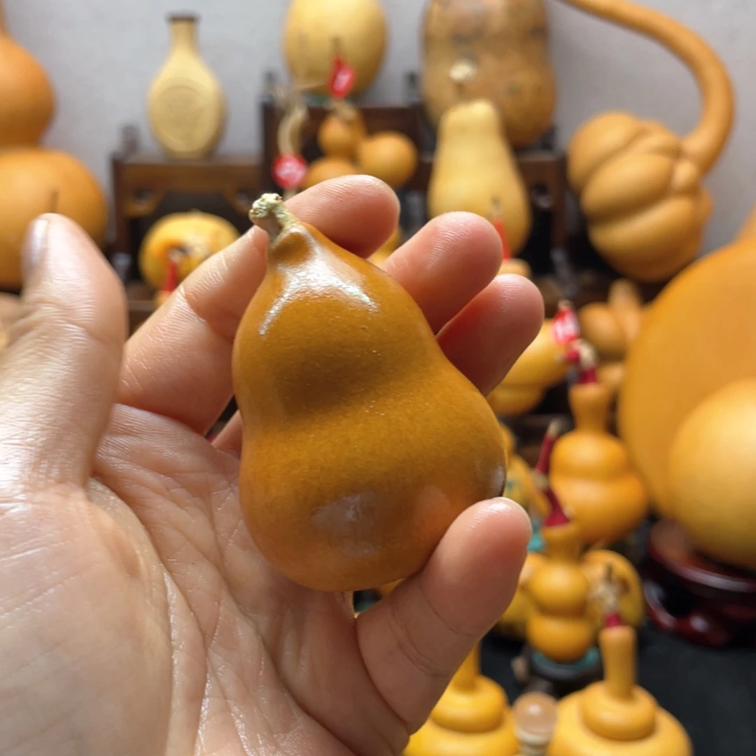 黑**•大自然的秘密是什么啊哈哈