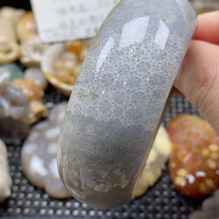 硅化珊瑚（珊瑚玉）颈饰未镶嵌56