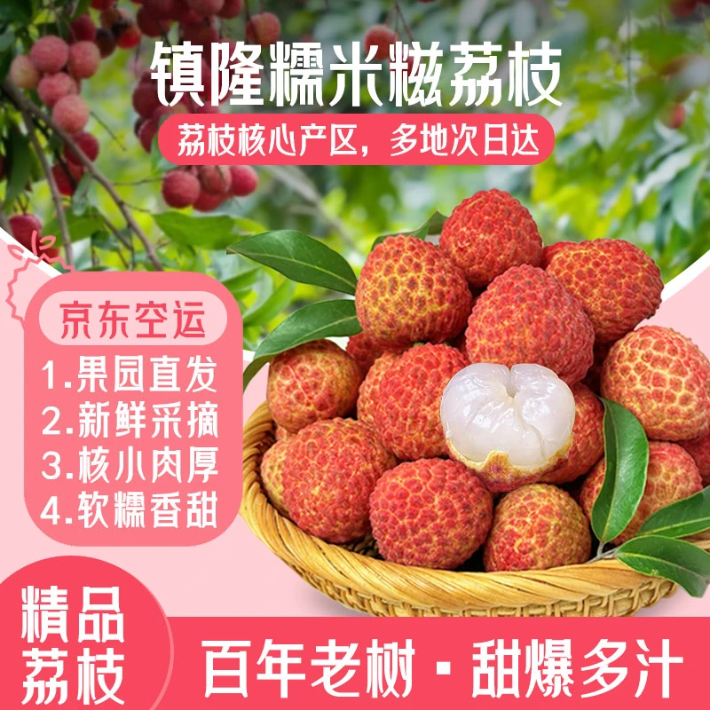 广果【限量福利】广东糯米糍荔枝新鲜水果晚熟荔枝整箱果园现摘现发