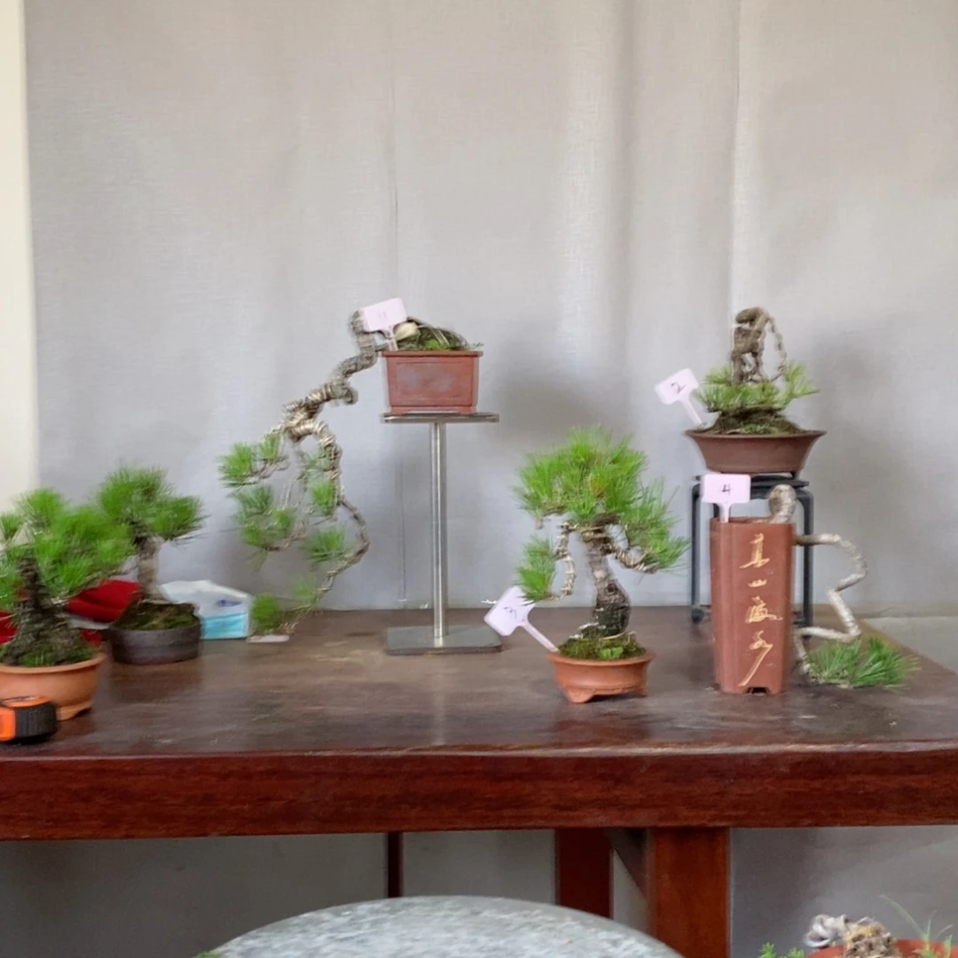 鱼*松树等经济作物