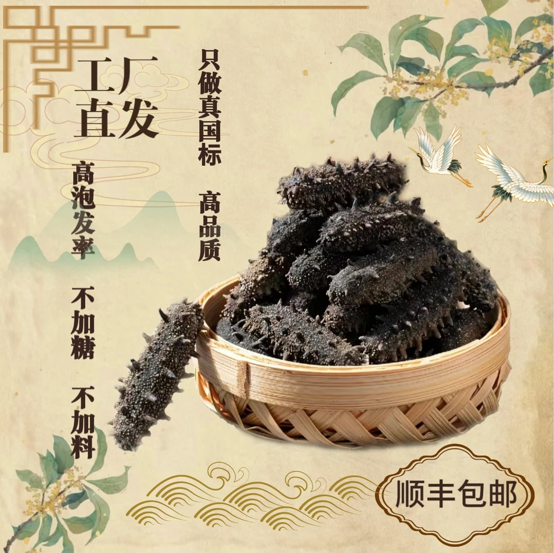 一斤装淡干海参底播刺参