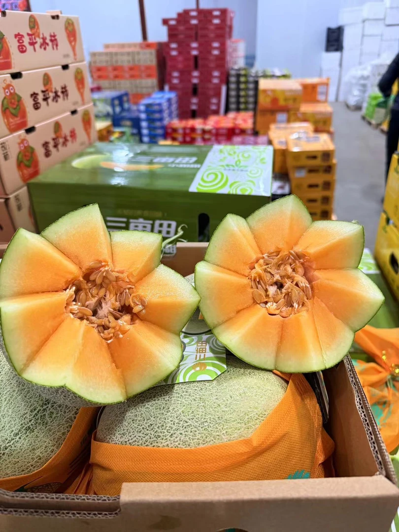 海南沙地蜜瓜 1500g