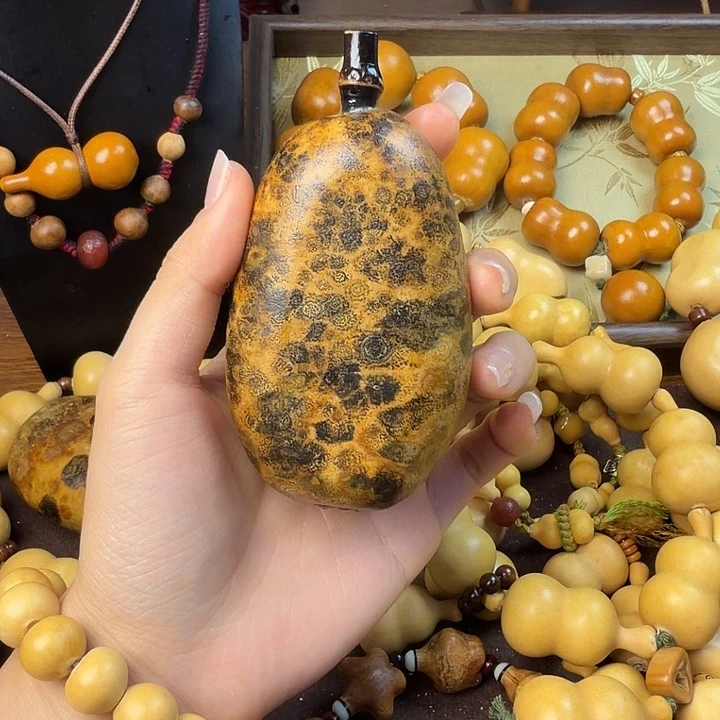 醒***醒花皮冬瓜扁葫芦葫芦