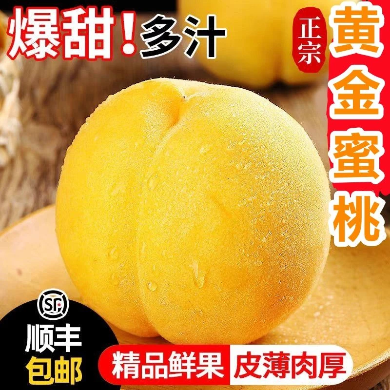 【次日达顺丰包邮】正宗山东黄桃蒙阴锦绣黄桃水果新鲜纯甜桃子油桃山东省山东省