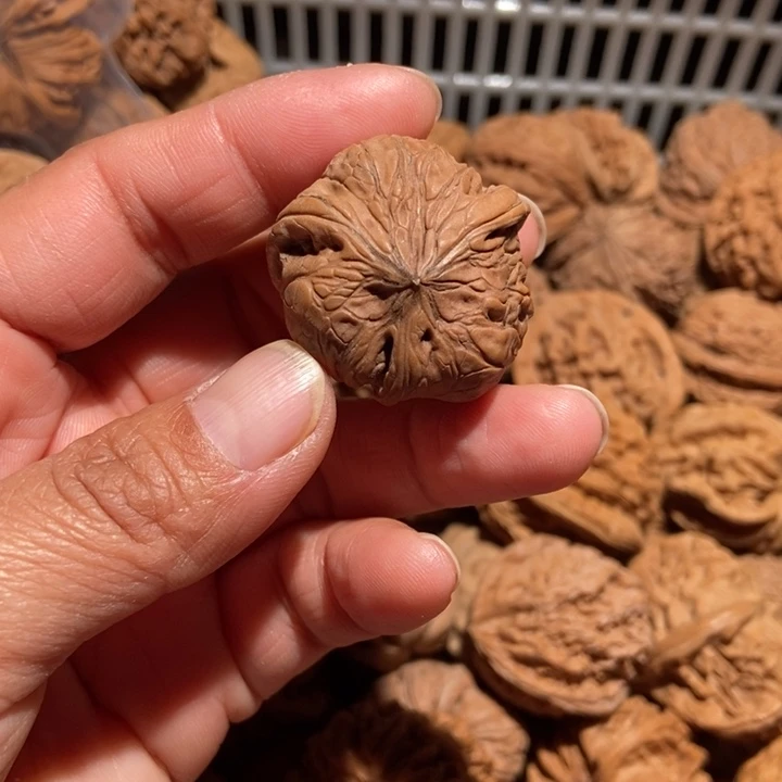 晨***曦核桃三棱蛇尺寸33全品