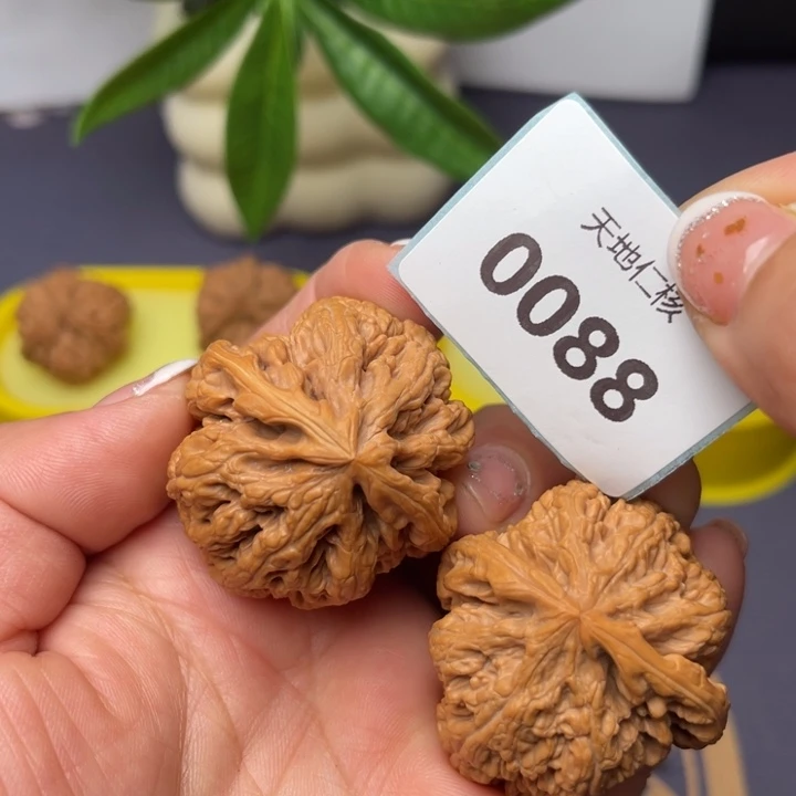 文玩核桃把件39粗筋88