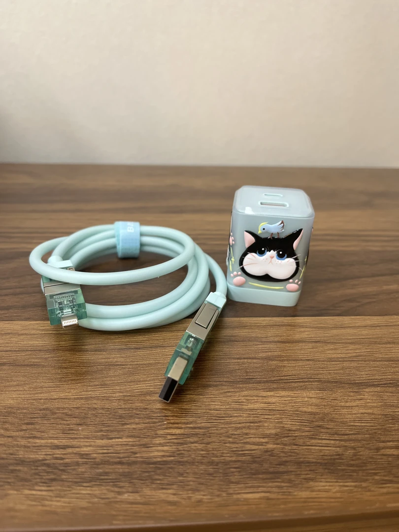 41潮玩 小黑猫70w快充潮玩周边