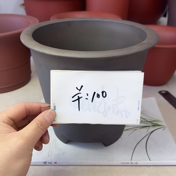 春秋花盆精品兰盆