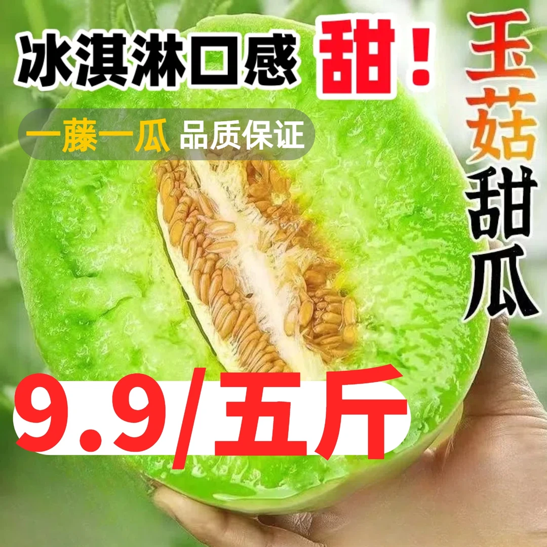 山东特产玉菇甜瓜冰淇淋蜜瓜新鲜现摘应季水果当季