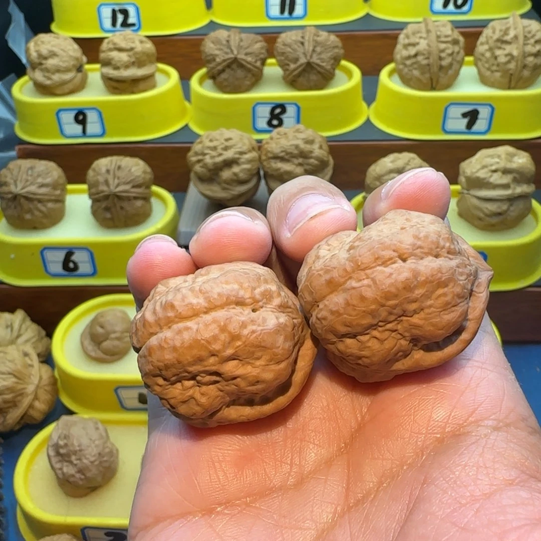 立***波桃核把件大羊头蟾
