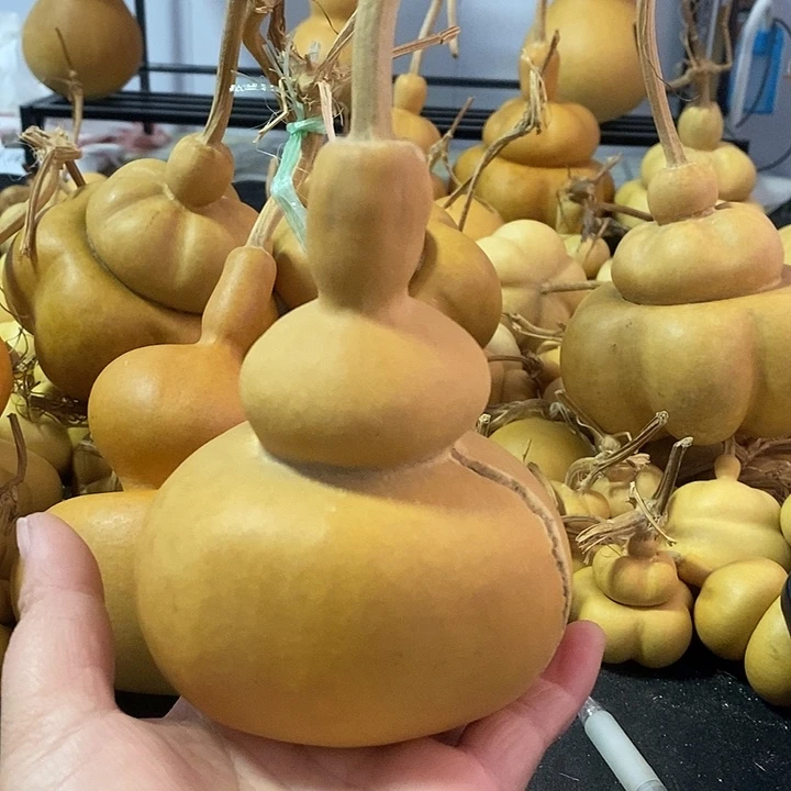 狼*腾葫芦的颜色是蓝色的