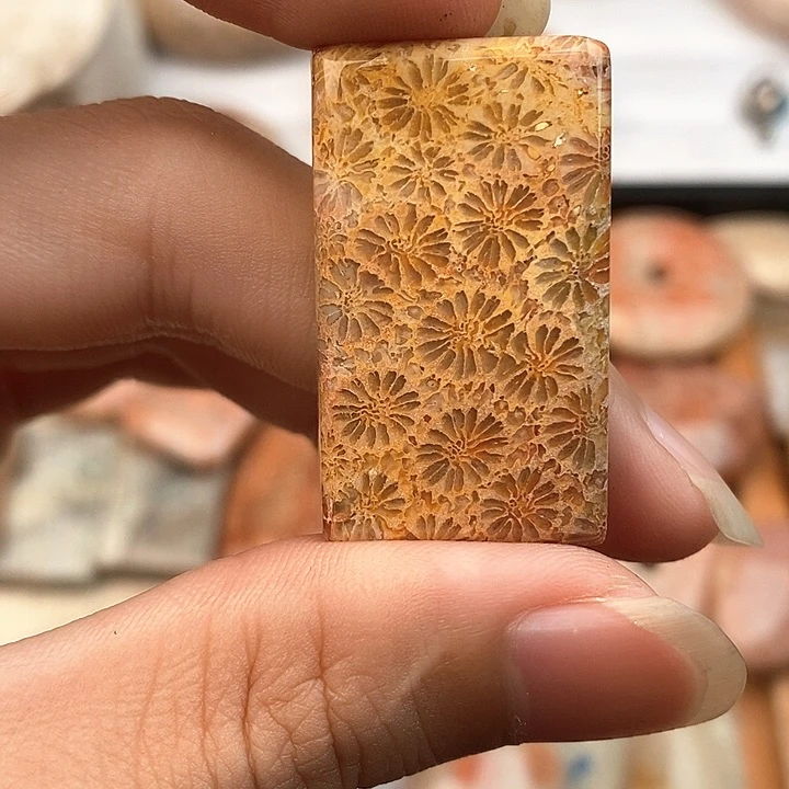 硅化玉颈饰未镶嵌青*