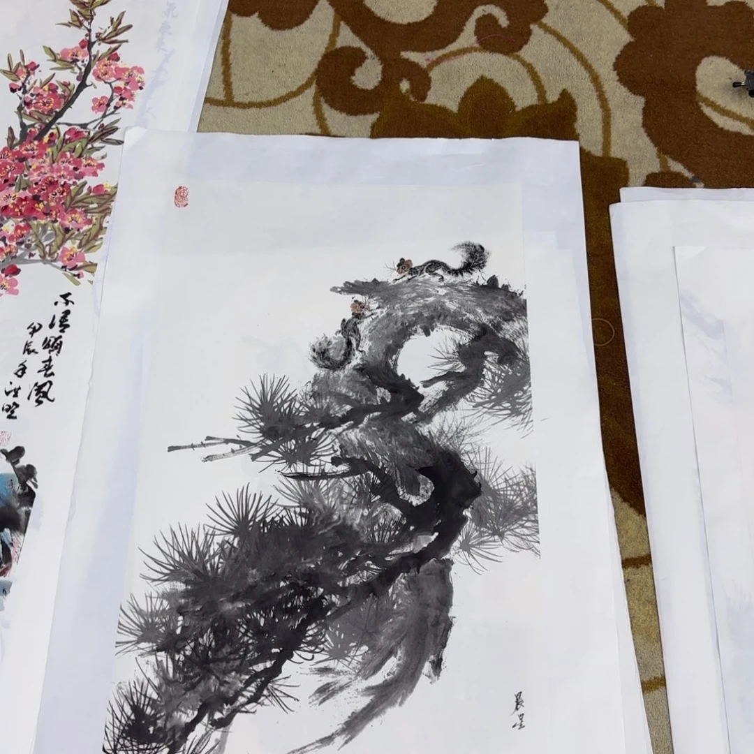 国画赵晨星李欣主播