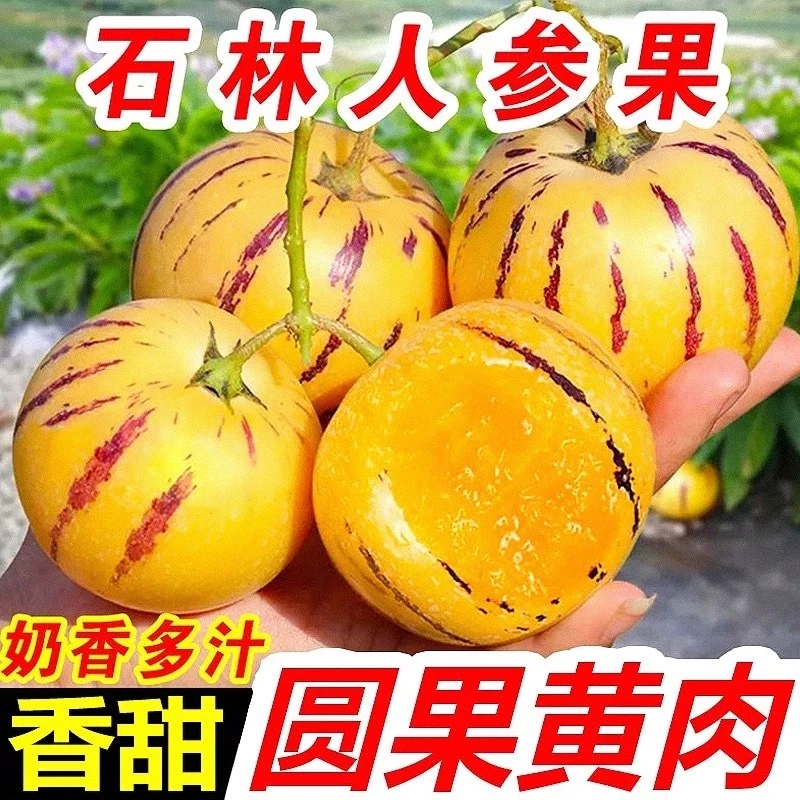 云南石林新鲜黄肉圆果树上自然熟清甜多汁应季水果3斤装悦鲜盒子