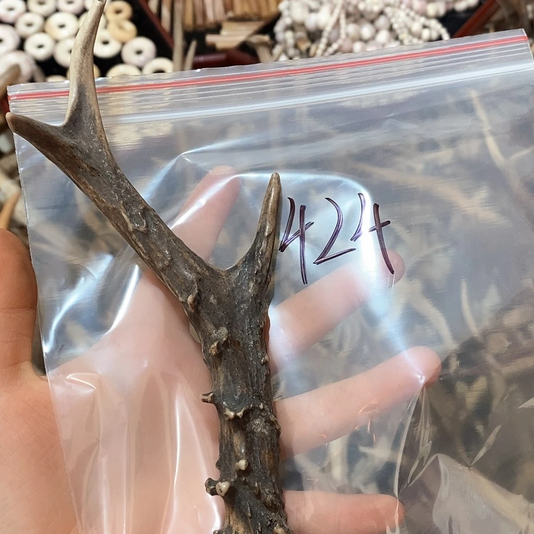 鹿角鹿角鹿角鹿鹿