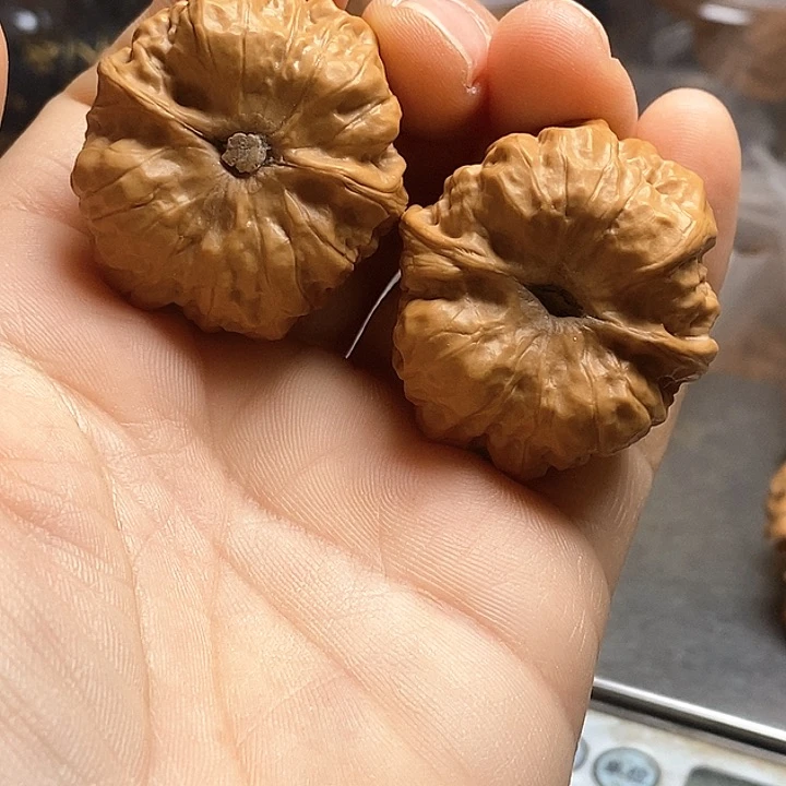 桃核把件35蛤蟆头狮子头