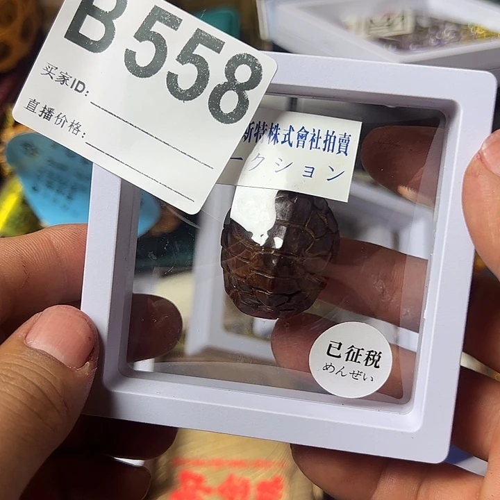 浅***瓷片5587777888856444414
