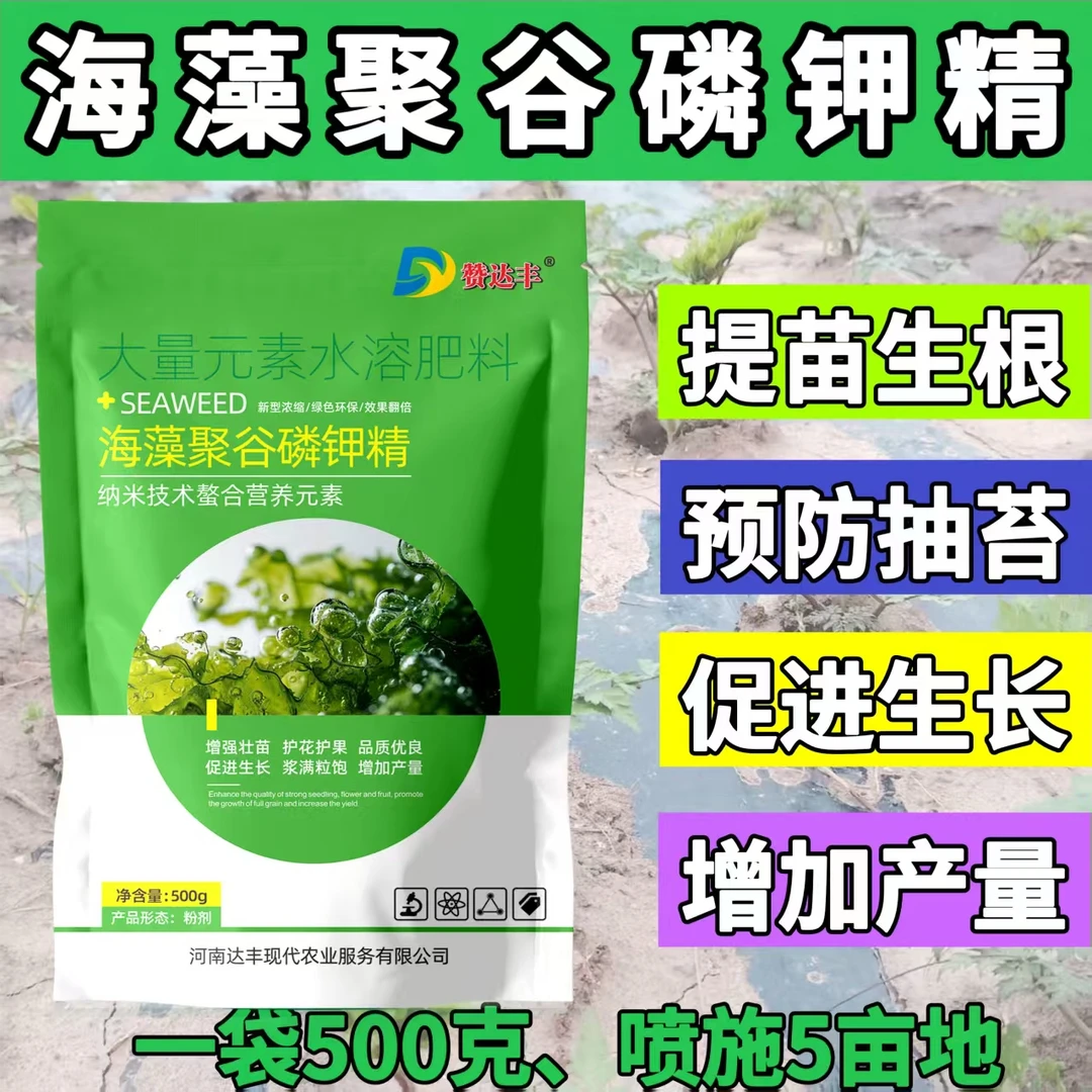 海藻聚谷磷钾精 促进生长抗旱抗寒 预防抽苔 缓解药害 增加千粒重
